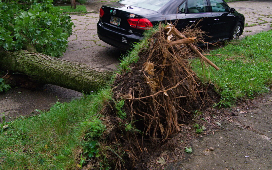 Aug. 11th 2026 – Aftermath of Storm – Severe Weather