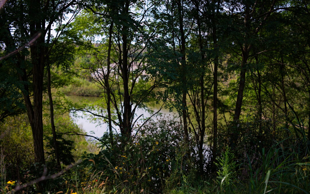 A Walk Through the Great Southern Metro Park – Columbus, OH, USA – 19-09-2026
